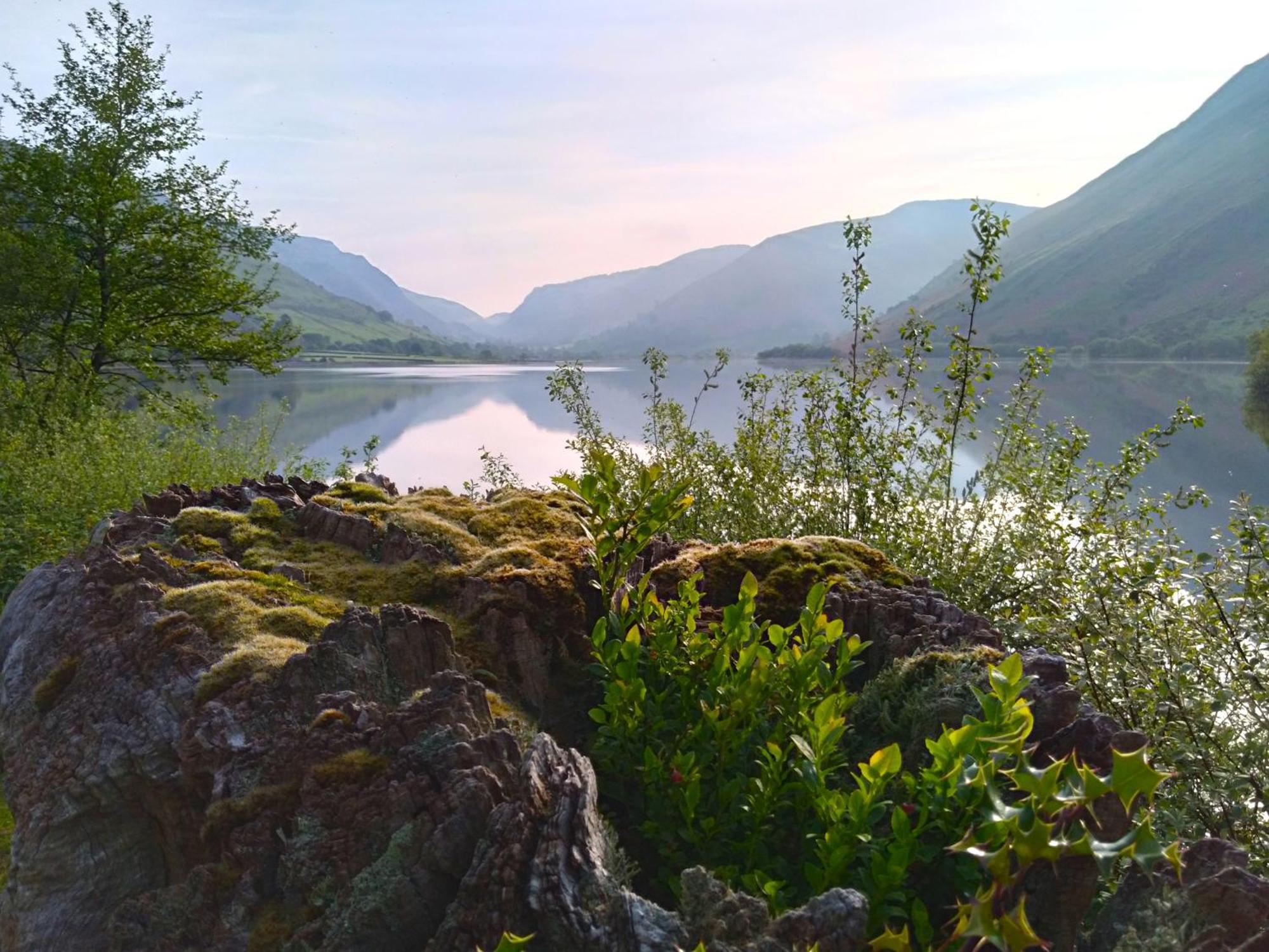 佩尼邦特住宿加早餐旅馆 Tal-y-llyn 外观 照片