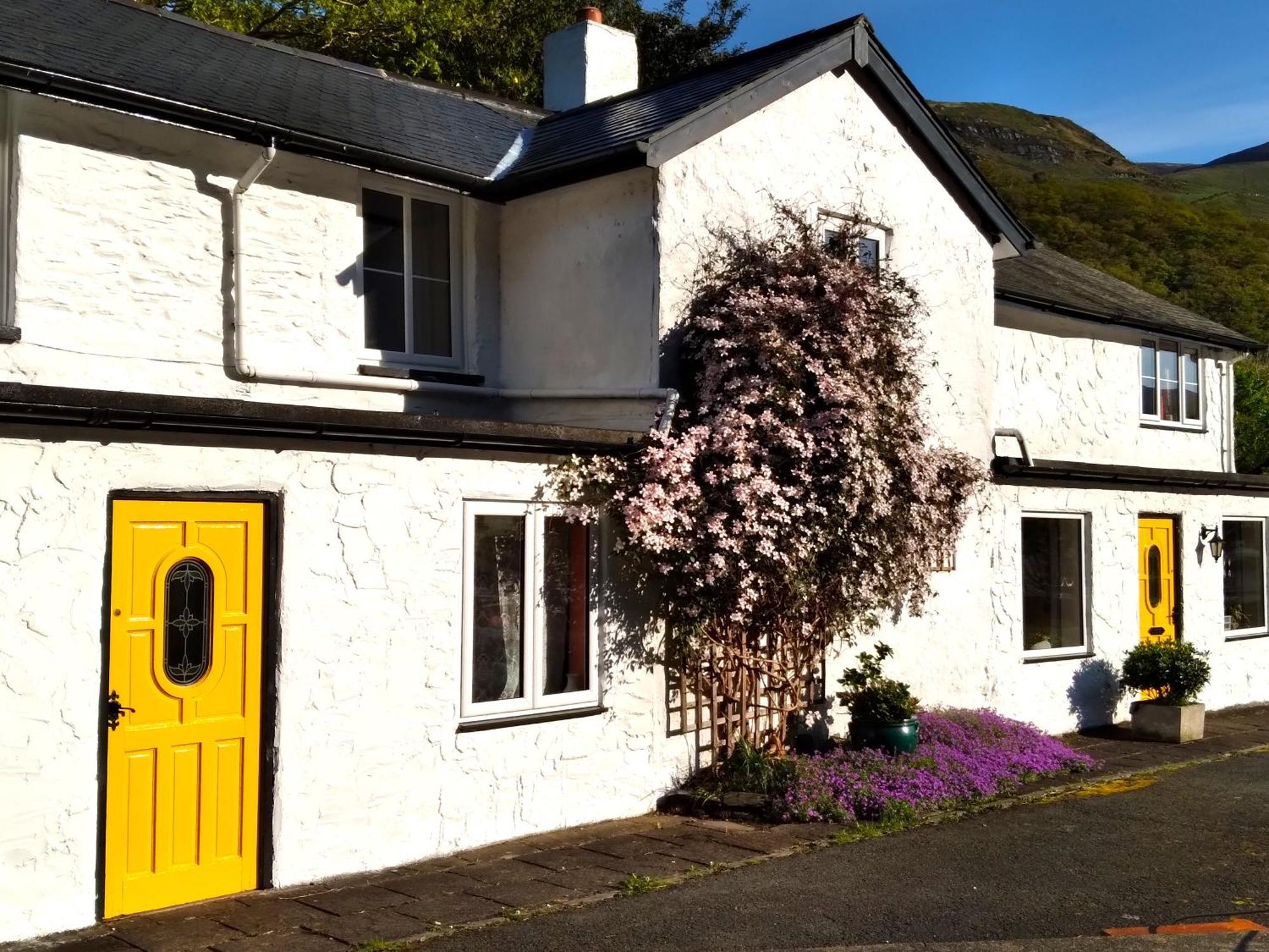 佩尼邦特住宿加早餐旅馆 Tal-y-llyn 外观 照片